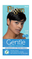 Bigen Gentle Cream Hair Color 2AB ASH Black