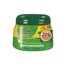 PLN Botanicals Ultra Nourishing Deep Cond. 15 Oz.